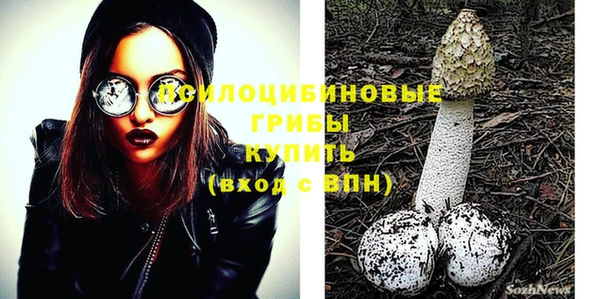 соль ск Абинск