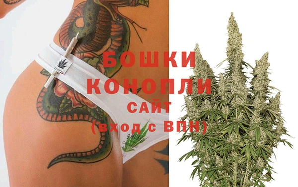 сатива Абаза