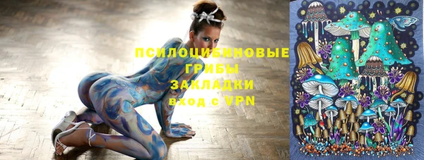 сатива Абаза