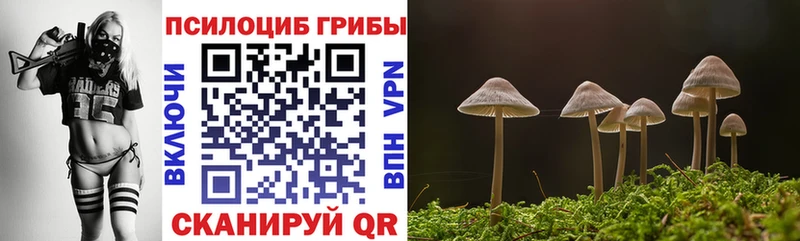 Галлюциногенные грибы GOLDEN TEACHER  OMG ссылки  Ростов-на-Дону  купить  